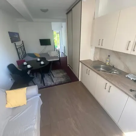 Apartamenty Nad Jeziorem Charzykowskim Villa Emilia Charzykowy Exterior foto