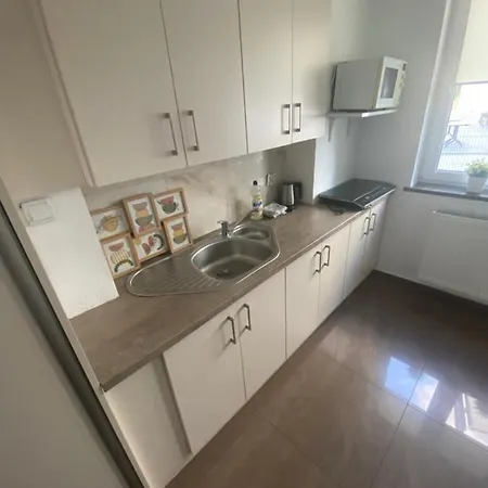 Apartamenty Nad Jeziorem Charzykowskim Villa Emilia Charzykowy Exterior foto